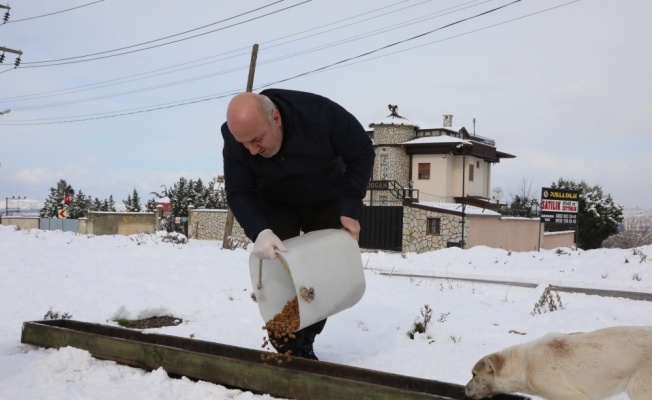 Sakarya, Kocaeli ve Karabük'te karla mücadele çalışmaları sürüyor