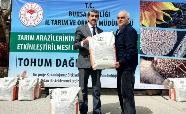 Bursa'da İrfaniyeli üreticilere ayçiçeği tohumu desteği