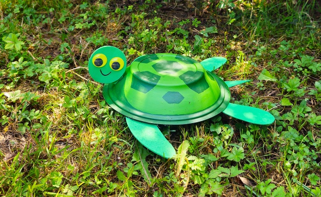 Kaplumbağa Günü'nde FYZoo'da Eğlenceli Bir Atölye Çalışmasına Hazır mısınız?