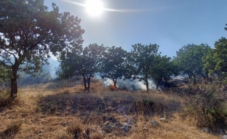 Ormanda yangın: 10 hektar alan zarar gördü