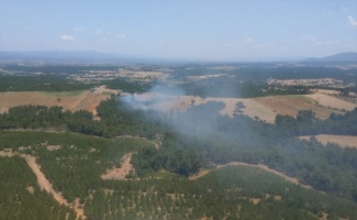 Çanakkale'nin Ezine ilçesindeki ormanlık alanda çıkan yangına müdahale ediliyor