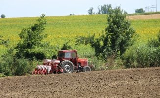 Edirne'de “ikinci ürün ayçiçeği“ üretiminin artırılması amacıyla çiftçilere hibe tohum dağıtıldı