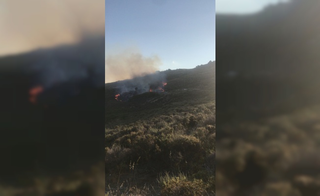 GÜNCELLEME - Avşa Adası'nda makilik alanda çıkan yangın kontrol altına alındı
