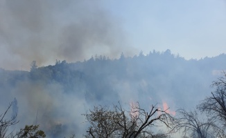 Balıkesir'in Dursunbey ilçesinde çıkan orman yangını kontrol altına alındı