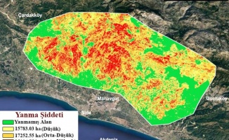 GTÜ  orman yangınlarının etkili olduğu alanları haritalandırdı