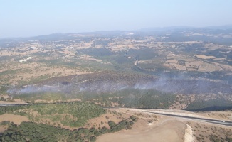 GÜNCELLEME - Balıkesir'in Savaştepe ilçesinde orman yangını çıktı