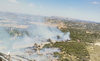 GÜNCELLEME - Çanakkale'de ormanlık alanda çıkan yangın kontrol altına alındı