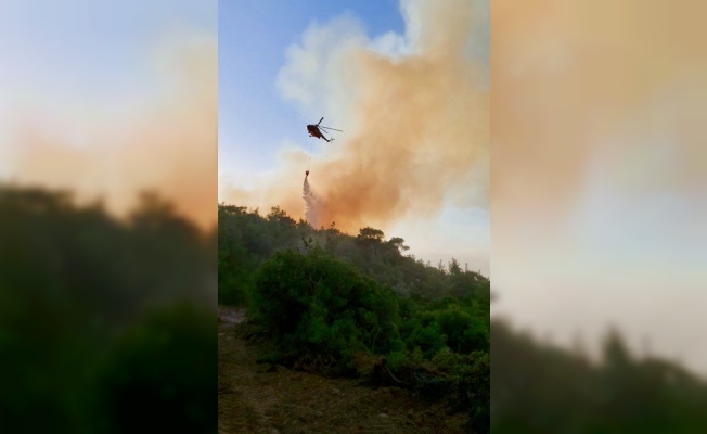 GÜNCELLEME - Çanakkale'nin Ezine ilçesinde çıkan orman yangını kontrol altına alındı