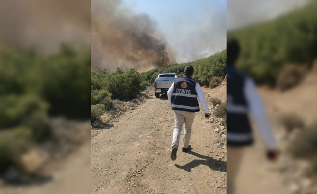 GÜNCELLEME - Çanakkale'nin Ezine ilçesindeki orman yangını söndürüldü