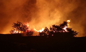 GÜNCELLEME - Kocaeli'de kereste fabrikasında çıkan yangın kontrol altına alındı