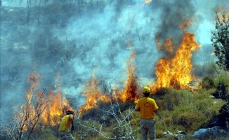 Solunum doktorları orman yangınları sonrası uyarı yaptı