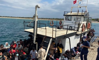 251 düzensiz göçmen yakalandı