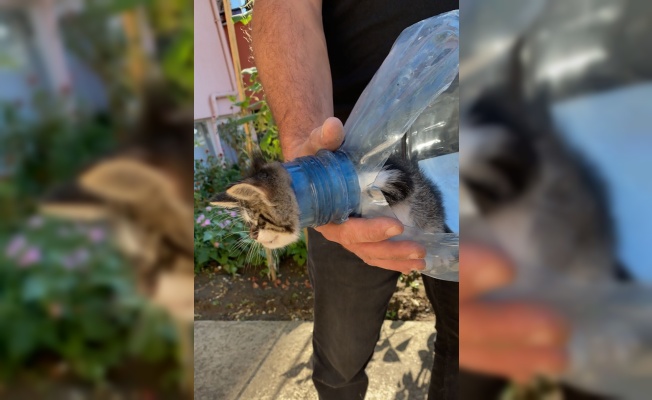 Pet şişeye sıkışan yavru kediyi itfaiye kurtardı