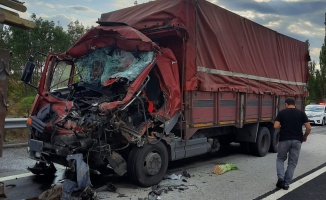 Tıra çarpan kamyon sürücüsü öldü