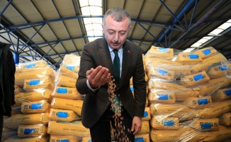 3 bin çiftçiye 1278 ton tohum dağıtılıyor