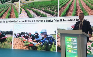 Kocaeli Büyükşehir, tarıma destek projeleriyle Türkiye’ye örnek oluyor