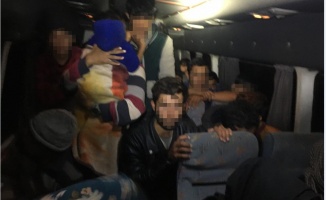 Kocaeli'de 40 düzensiz göçmen yakalandı