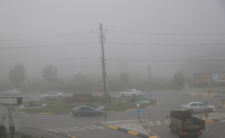 Sakarya'da yoğun sis etkili oluyor