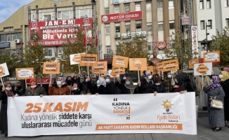 Sakarya, Karabük, Kocaeli ve Düzce'de kadına yönelik şiddet protesto edildi