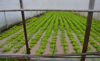 Çanakkale'de şiddetli yağış nedeniyle tarım alanlarını su bastı