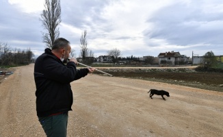 Bursa'da yasaklı ırk köpek denetimi artırıldı