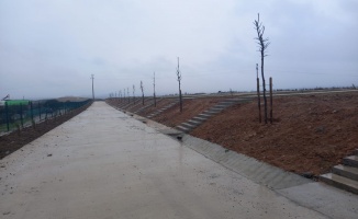 Demirciler Köyü Mezarlığı ağaçlandırıldı