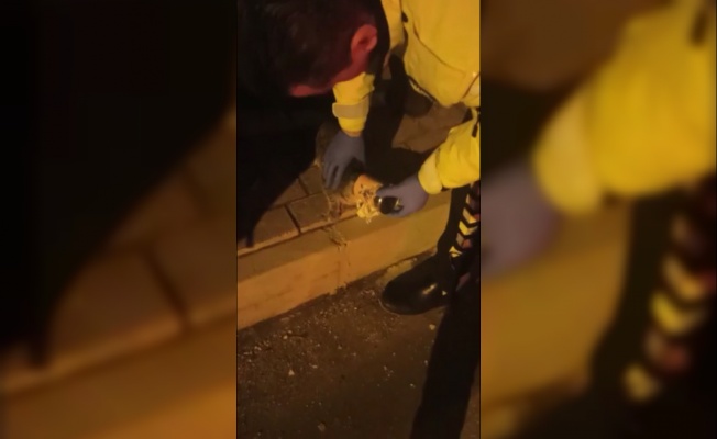 Kafası konserve kutusuna sıkışan kediyi polis kurtardı