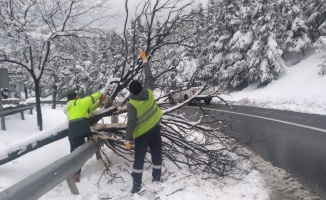 Karda kırılan ağaç dalları  temizleniyor