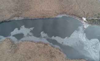 Kırklareli'nde longoz ormanlarındaki göller buz tuttu