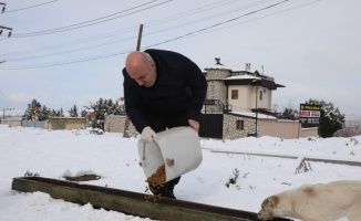 Sakarya, Kocaeli ve Karabük'te karla mücadele çalışmaları sürüyor