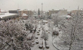Sakarya ve Kocaeli'de kar etkili oluyor