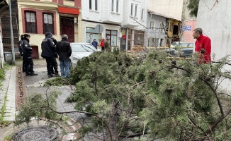 Fırtınada devrilen ağaç 3 otomobile zarar verdi