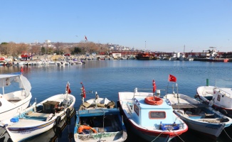 Tekirdağ'da küçük tekne balıkçılarının umudu karides