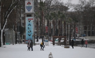 Yalova'da kar ve soğuk hava etkili oluyor