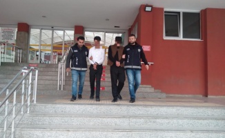 Kocaeli'nde 15 kaçak göçmen yakalandı