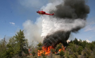 Orman yangınlarına karşı önemli uyarı