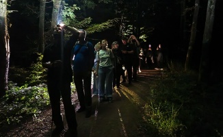 Ormanya’da gece yürüyüşü