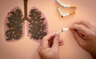 Akciğer kanseri ilk sırada