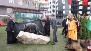 Cumhurbaşkanı Novak ve Başkan Büyükakın kahraman köpek Mancs’in anıtını açtı